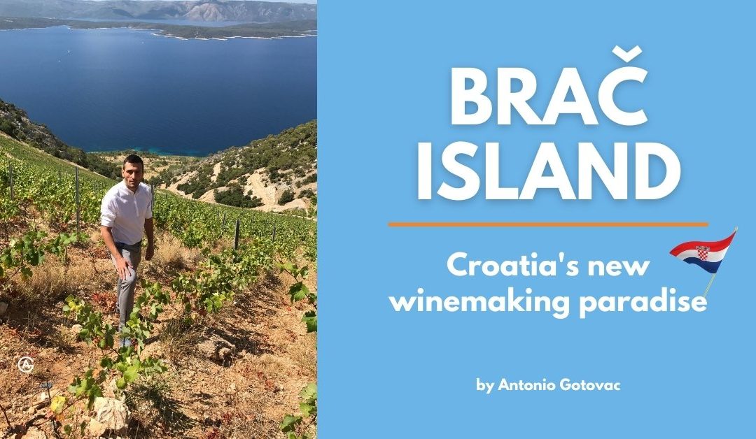 Croatia’s Next Hit Winemaking Region – Island of Brač