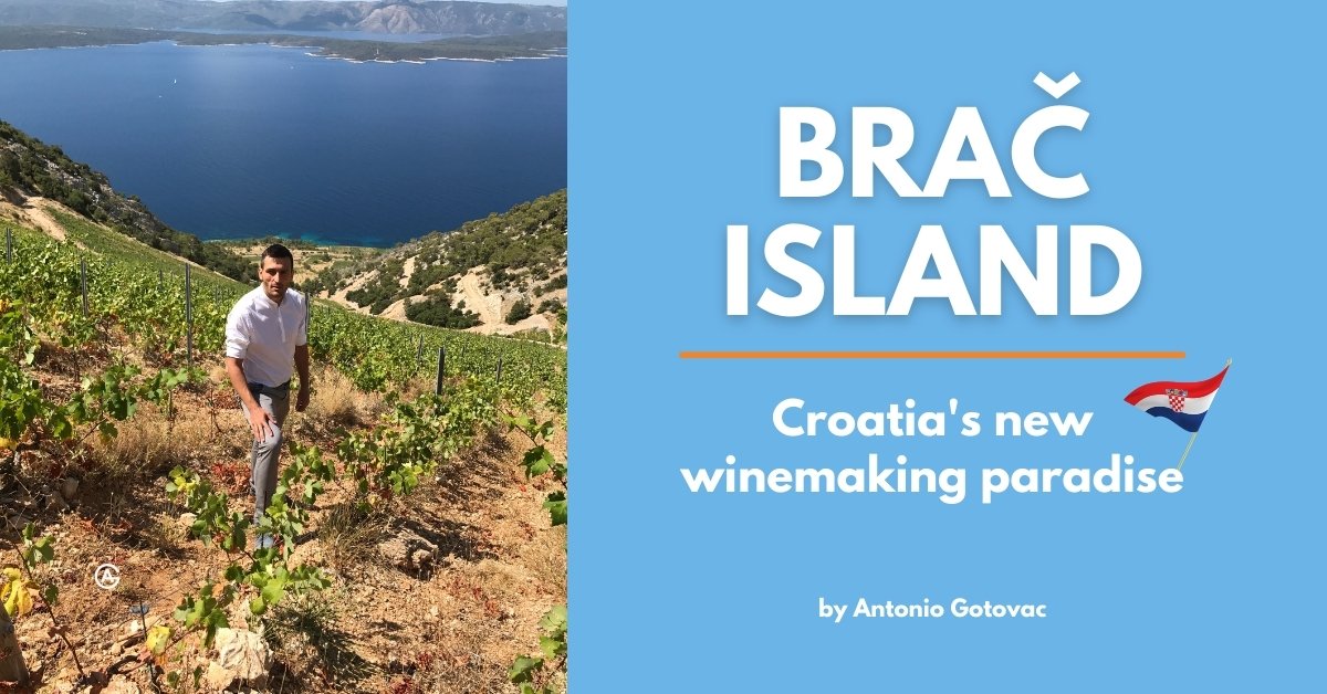 Croatia's New Winemaking Paradise - Brac Island